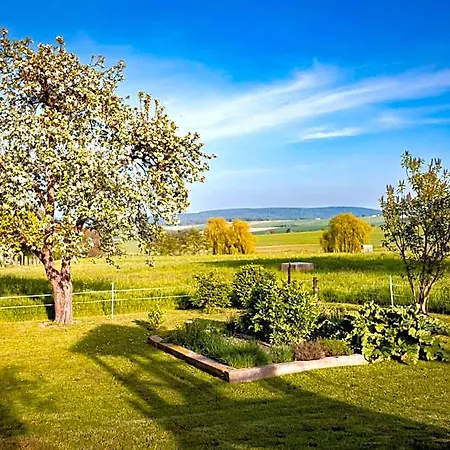 Drei Schwanen Hotel 3*